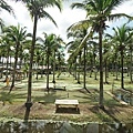 DSC05493.JPG