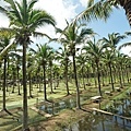 DSC05503.JPG