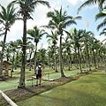 DSC05483.JPG