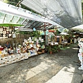 DSC05578.JPG