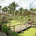DSC05592.JPG