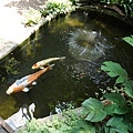 DSC07488.JPG