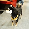 DSC09043.JPG