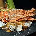 DSC09498.JPG