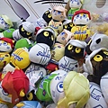 DSC07322.JPG