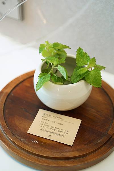DSC08265.JPG