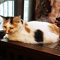 DSC08230.JPG