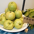 DSC09725.JPG