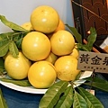 DSC09728.JPG