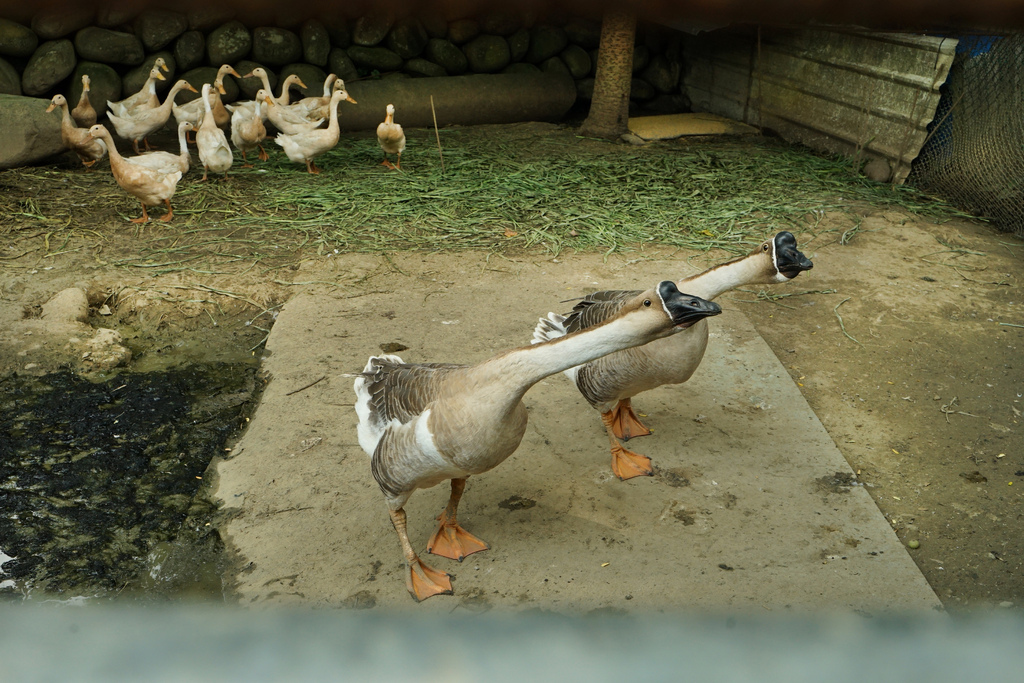 DSC07895.JPG
