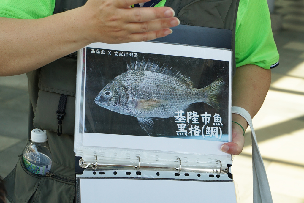 DSC02764.JPG