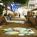 DSC00394.JPG