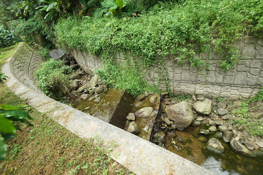 DSC06854.JPG