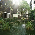 DSC08547.JPG