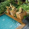 DSC08523.JPG
