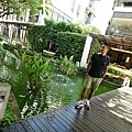 DSC08623.JPG