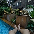 DSC09030.JPG