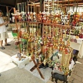 DSC00795.JPG