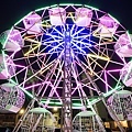 DSC01380.JPG