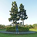 DSC00604.JPG