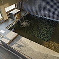 DSC00653.JPG