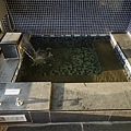 DSC00656.JPG