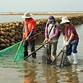 DSC00121.JPG