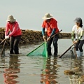 DSC00133.JPG