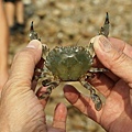 DSC00153.JPG