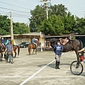 DSC09955.JPG