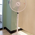 DSC04939.JPG