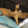 DSC03789.JPG