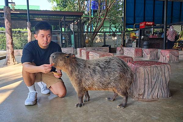 LINE_ALBUM_zoo_250209_88.jpg