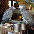 DSC03822.JPG
