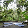 DSC06584.JPG