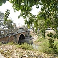 _DSC9011.JPG