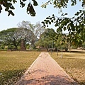 _DSC9022.JPG