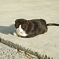 DSC01040.JPG