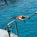 DSC01394.JPG