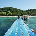 DSC01450.JPG