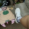 DSC00532.JPG