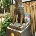 DSC04998.JPG