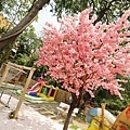 DSC05014.JPG