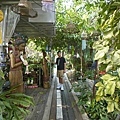 _DSC9406.JPG