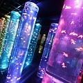 DSC07310.JPG