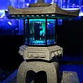 DSC07538.JPG