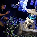 DSC07601.JPG