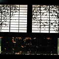 DSC07546.JPG