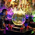 DSC07984.JPG