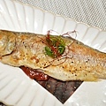 DSC09724.JPG